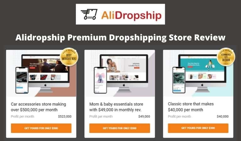 Alidropship Established Store Review AliDropship Premium Dropshipping Store Review In 2023